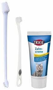 pin en kedi