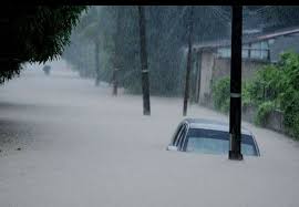 Justeru itu, orang ramai disaran supaya mengamalkan langkah keselamatan semasa ribut petir, antaranya: Malaysia Diramal Banjir Besar Bulan Ini