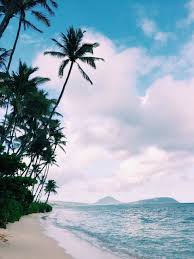 Becausehawaii Beach Trip Summer Vibes Adventure Beach