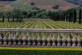 That begins with being good stewards of the land. Ferrari Carano Winery Hosts First Reno Wine Dinner In 10 Years