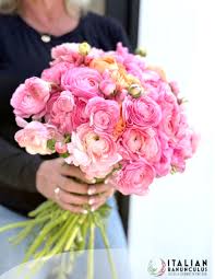 Image result for Ranunculus volkensii