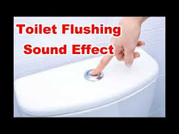 These are often found in restaurants, offices, sports stadiums, etc. Toilet Flushing 2 Noises Bathroom Sounds Film Sound Effect No Copyr Sound Film Sound Effects Flush Toilet