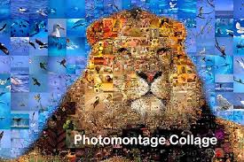 Das programm pixelmator bietet zahlreiche werkzeuge, um bildobjekte geschickt auszuwählen, motive zu retuschieren und auch farben zu korrigieren. 2 Beste Methoden Um Atemberaubende Fotomontage Collagen Zu Erstellen
