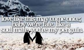 M M 3 Penguin Love Penguin Love Quotes Penguin Quotes
