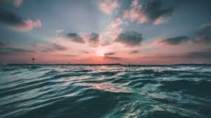 The word sea in this context refers to open water wind waves. Fair Winds Following Seas Poem Fair Winds And Following Seas David Appleyard Fair Winds Following Seas Teungkumuhibuddinwaly