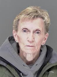 Alleged theft of $100,000 from a township and a Sunburg, Minnesota, church  leads to charges against sisters