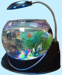 Small Aquarium Glass Aquarium Tanks Design Trends Aquarium Lighting Fish Aquarium Decorations Glass Aquarium
