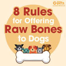 Is It Okay To Give My Dog A Bone Which Bones Are Safe For Dogs Dogtime