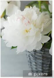 Piccoli prezzi by pacco regalo. Poster Bellissimi Fiori Bianchi In Un Vaso Pixers Viviamo Per Il Cambiamento