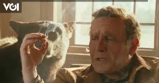 Omong Kosong Ciptaan George W Bush tentang Nuklir dan Terorisme di Irak