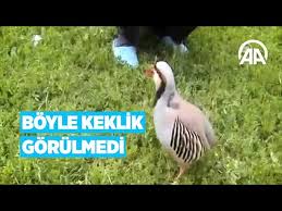 Boyle Keklik Gorulmedi Youtube
