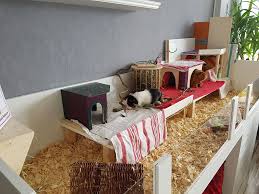 Grund Gehege Von Happy Nager In 2 15m Meerschweinchen Cavia