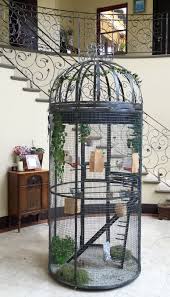 Voliere Pet Bird Cage Diy Bird Cage Bird Cage Design