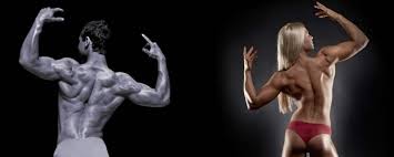 Learn how to draw the upper back muscles. Build A Stronger Back Fitprince