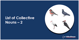 List Of Collective Noun For Birds Hitbullseye