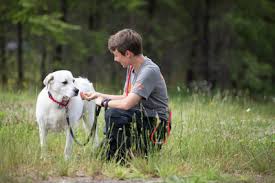 Maybe you would like to learn more about one of these? Aspca Announces The Development Of Two New Animal Recovery Facilities For Victims Of Cruelty And Neglect