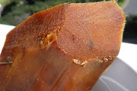 Pin On Gastronomia Prehispanica