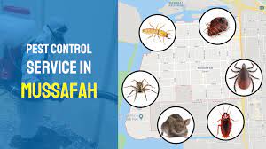 Treatments used for pest control include gel, spray, ant granules and bait stations. Mussafah Pest Control Service 2021