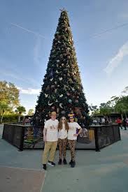 We've been having a great trip!!! We checked in to the Animal Kingdom Lodge 
