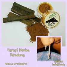 Pokok herba ini dikatakan dapat mengubati penyakit batu karang dengan meminum air rebusan akarnya. Miena Herbs Beauty Anda Mengalami Masalah Seperti Ini Sering Bersin Gatal Mata Nafas Berbau Tidur Berdengkur Sukar Bernafas Gatal Hidung Sakit Tekak Pening Kepala Jerawat Pada Muka Badan Kalau Korang