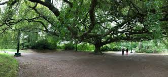 Jardin Public De Bayeux 2020 All You Need To Know Before You Go With Photos Tripadvisor