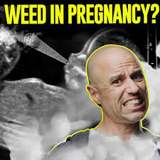 Weed In Pregnancy? A Doctor's Thoughts