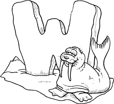 Free Walrus Coloring Pages With Printable Walrus Coloring Pages For Kids Abc Coloring Pages Kindergarten Coloring Pages Animal Coloring Pages
