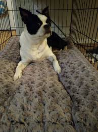 Best of all, the cover is machine washable so you can easily keep the sherpa lining. 20 Of The Best Dog Beds You Can Get On Amazon