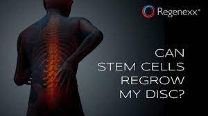 Regenerate Degenerated Discs