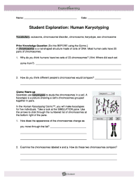 This exercise is a simulation of human karyotyping using digital images of chromosomes from actual human genetic studies. Student Exploration Human Karyotyping Fill Online Printable Fillable Blank Pdffiller