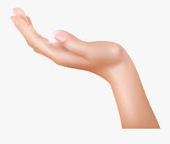 Transparent Giving Hands Png Cupped Hand Clipart Transparent Background Free Transparent Clipart Clipartkey Best free png photo clipart hd cupped hands transparent clipart png photo background, hands clipart png file easily with one click free hd png images, png design and transparent back. transparent giving hands png cupped