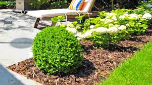 They are renewable and easy to use as a mulch. Which Bark Do I Need For My Garden Free Gardening Advice