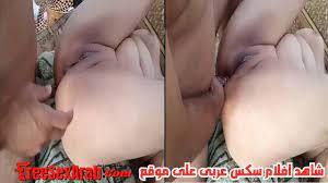 سكس مصري - فحل مصرى ينيك مراته الشرموطه فى طيزها المربربه - سكس عربى - فرى سكس  عرب - sexarab - arabsex