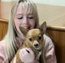 🎭✨ Dedication in action! Our talented students have been rehearsing all  weekend to bring Legally Blonde to life, and they're not doing it alone!  Frank the chihuahua is hard at work too,