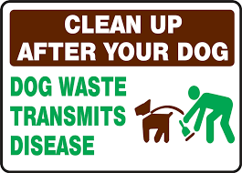 We did not find results for: Clean Up After Your Dog Dog Waste Transmits Disease Pet Signs Mcaw551
