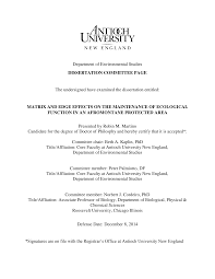 Image result for Beilschmiedia rwandensis