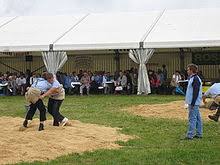 Schwingen (auch hosenlupf genannt) ist eine in der schweiz beliebte variante des freistilringens, die auf sägemehl ausgeübt wird. Schwingen Wikipedia