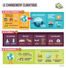 Comment peuvent agir la ville d'annecy et ses citoyens ? Le Changement Climatique Mtaterre