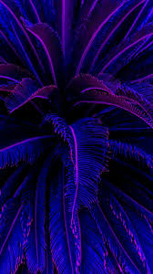 Great 8 Aesthetic Blue Images For Your Android Or Iphone Wallpapers Android Iphone Wallpaper Purple Aesthetic Aesthetic Wallpapers Neon Aesthetic