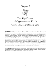 Image result for Bulbostylis schoenoides