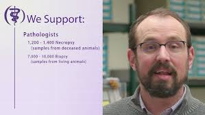 KSVDL Virtual Tour: COVID-19 Testing Laboratory