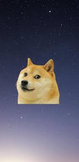 Explore origin 0 base skins used to create this skin; Dog Meme Wallpaper Wallpaper By Onurozk 5880 Free On Zedge
