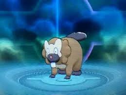 Pokemon Omega Ruby And Alpha Sapphire Bidoof Evolve Into Bibarel