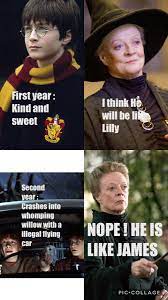 Pin By Jeni Lavon On So True Harry Potter Jokes Harry Potter Films Harry Potter Funny