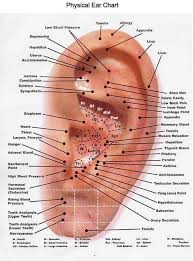 Auricular Acupuncture Chart Raj Ear Reflexology