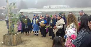 Wiñoy tripantu is the mapuche celebration of the return of the sun and is sometimes called the mapuche new year. Orientaciones Para Conmemorar El Dia Nacional De Los Pueblos Indigenas Educrea