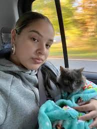 RIP his injuries were too bad and he had to be put down, rest in peace baby  boy.