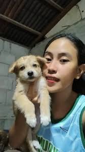 HAPPY MOTHERS DAY TO ALL ESPECIALLY TO ALL FURMOM ALWAYS THE HERO FROM MAY  PAWS FAMILY 😍😘🐕