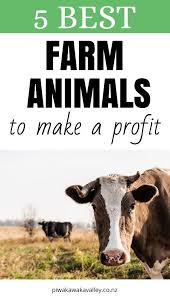 The 5 Best Farm Animals To Raise To Make A Profit In 2020 Farm Animals Farm Hobby Farms