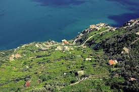 Mediterranean Hillside Stepped With Olive Trees And Vineyards Villa Cimbrone Italy Italy Travel Dreams Greece Travel